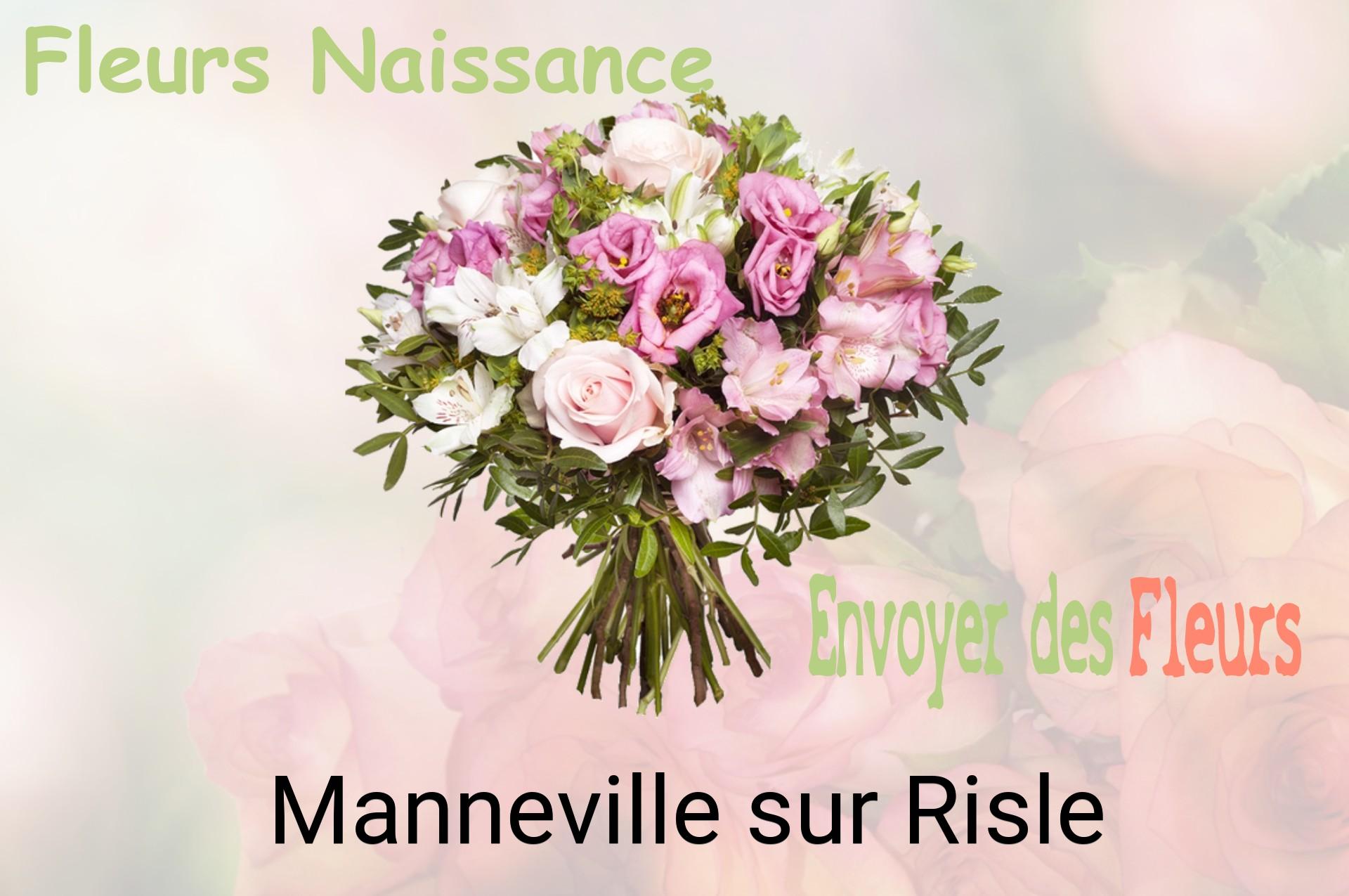 Bouquet de fleurs de naissance livré à Manneville-sur-Risle